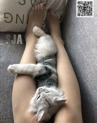 默杀剧情大概剧情_1080日韩电影在线